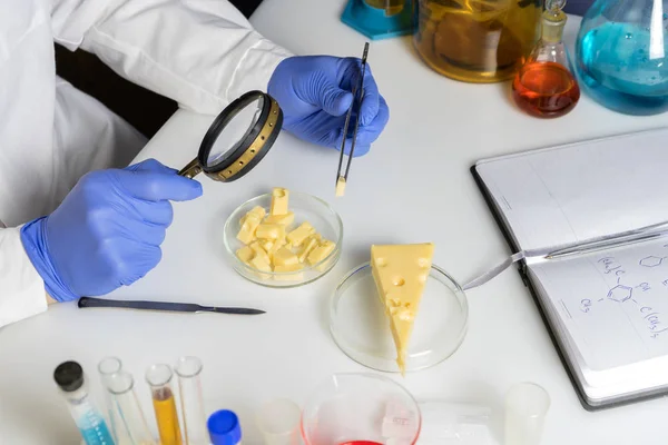 Εμπειρογνώμονας χέρια επιθεώρηση τυρί με μεγεθυντικό φακό στο εργαστήριο ποιοτικού ελέγχου — Φωτογραφία Αρχείου