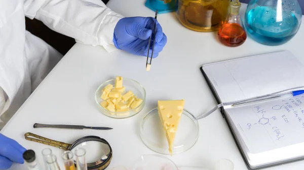 Εξειδικευμένα χέρια επιθεώρηση τυρί cottage με μεγεθυντικό φακό στο εργαστήριο ποιοτικού ελέγχου — Φωτογραφία Αρχείου