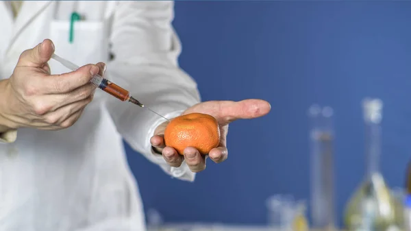 Assistente de laboratório injeta em um citrino laranja com nitratos de modo que eles são frescos, OGM . — Fotografia de Stock