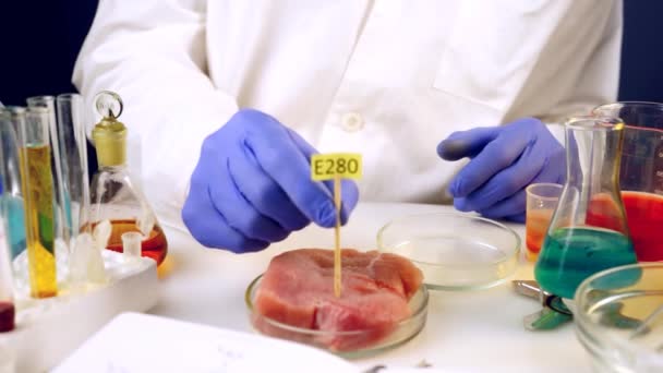 Après analyse de la viande, le travailleur de laboratoire met des plaques avec des additifs E dessus . — Video