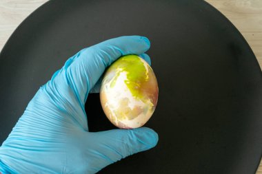 Ellerinde paskalya yumurtası, ellerinde mavi eldivenler..