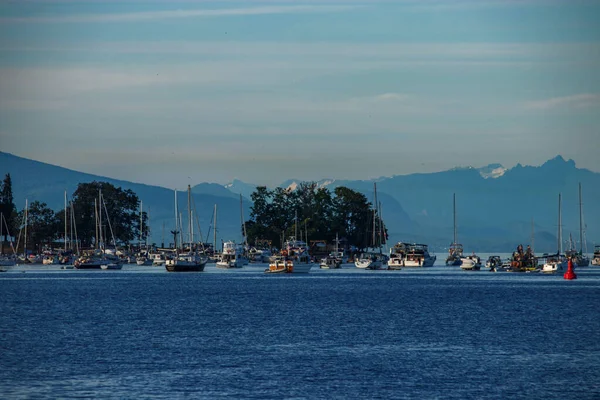 Nanaimo jachthaven met pleziervaartuigen, Bc, Canada — Stockfoto