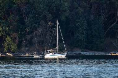 Nanaimo, Bc, Kanada kıyılarına yanaşmış.