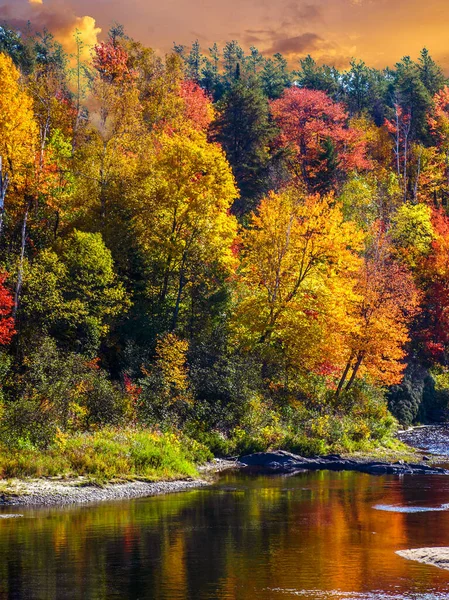色を反映して川の横に秋の色をスプラッシュ州公園,オン,カナダ — ストック写真