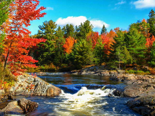 Gushing River decorated by the red foliage in fall, Chutes Prov Park, ON, Canada
