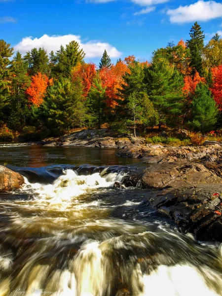 Rocks and fall foliage carve an artistic view, Chutes Prov Park, On, Canada — Stockfoto