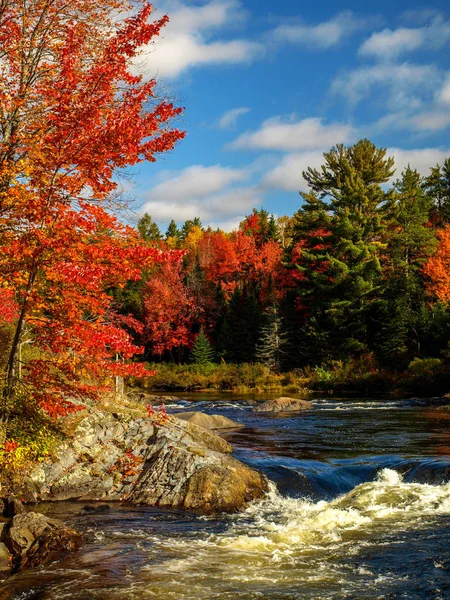 Mix of sky, clouds, river, fall foliage and rocks, Chutes Prov Park, On, Canada — Stockfoto