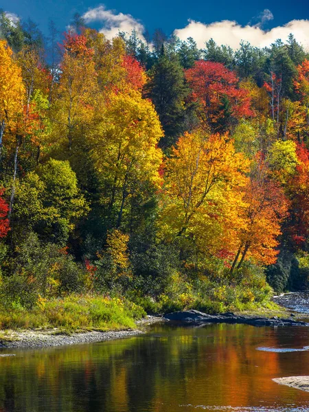 Rico otoño follaje colores en el Chutes Prov Park, ON, Canadá — Foto de Stock