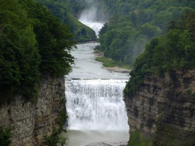 Letchworth Eyalet Parkı 'nda orta ve üst düşüşler görüldü.