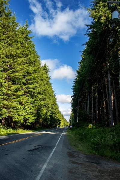 Bosque lluvioso a ambos lados de la carretera - Bosque lluvioso del Pacífico, BC, Canadá — Foto de Stock