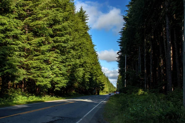 Carretera corta a través del bosque único - Bosque lluvioso del Pacífico, BC, Canadá — Foto de Stock