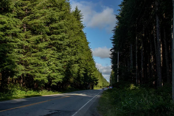 Clouds and blue sky seen through the forest highway - Pacific rain forest, BC, Canada — Stock Photo, Image