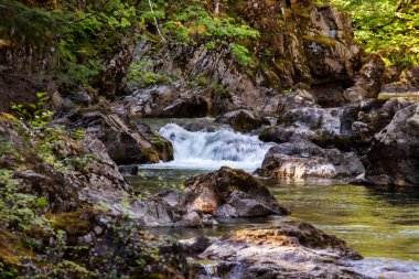 Büyük depremden önce pek çok küçük düşüş oldu, Qualicum Falls, Vancouver Adası, Bc, Kanada