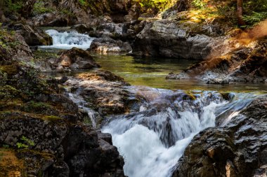 Üst ve alt düşüşler, Qualicum Falls, Vancouver Adası, Bc, Kanada
