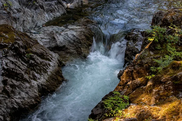 Top view of river action, Qualicum Falls, Vancouver Island, BC, Canada — Stock Photo, Image