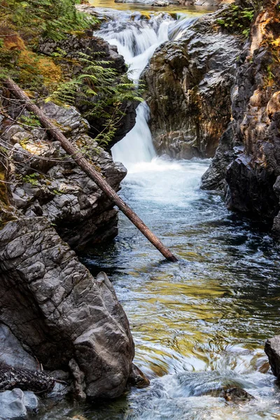 Ωραία μέρα στους καταρράκτες, Qualicum Falls, Vancouver Island, Bc, Καναδάς — Φωτογραφία Αρχείου