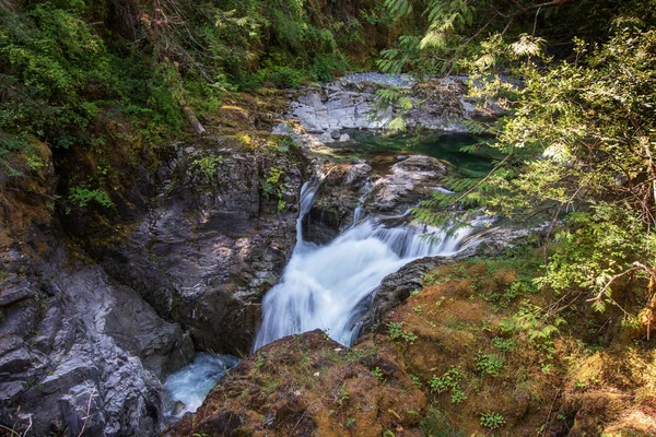 Wild river flow through the jungle, Qualicum Falls, Vancouver Island, BC, Canada — Stock Photo, Image