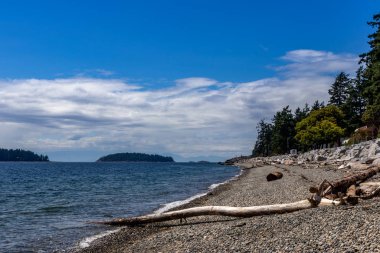 Sechelt Sahili Long Pacific Sahili, Günışığı Sahili, Bc, Kanada