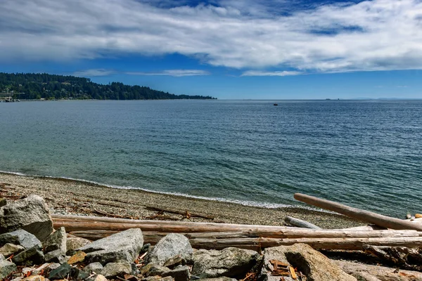 Rocks and trunks on Sechelt Beach, Sunshine Coast, BC, Canada — 스톡 사진