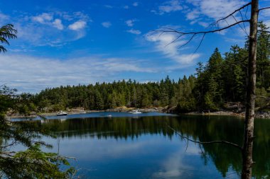 Kaçakçılar Koyu 'nda güzel bir gün, Günışığı Sahili, Bc, Kanada