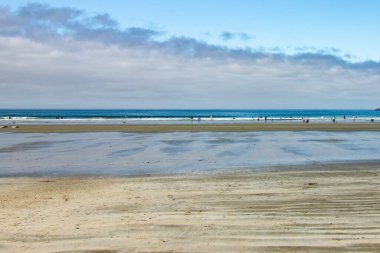 Tofino, Vancouver Adası, BC, Kanada 'da sörf için güzel bir sahil.