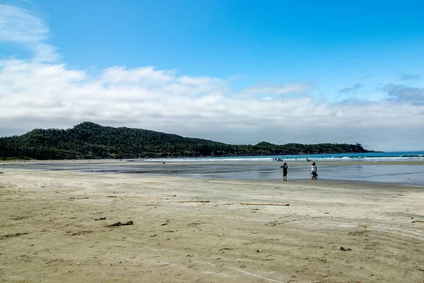 Surfistas Preparándose Tofino Vancouver Island Canadá — Foto de Stock