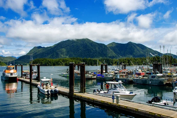 Giornata Limpida Bellissimo Porto Turistico Tofino Vancouver Island Canada — Foto Stock