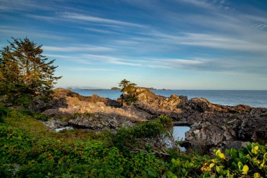 Sakin Pasifik Okyanusu deniz feneri, Ucluelet, Vancouver Adası, Bc, Kanada
