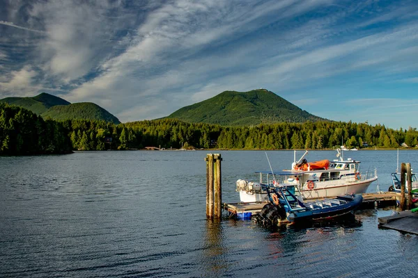 Marina Sundown Ucluelet Vancouver Island Canada — Stock Photo, Image