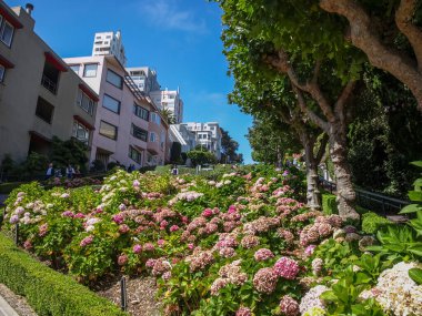 San Francisco 'nun eğimli sokakları, CA, ABD