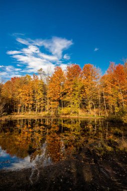 Caledon, Ontario, Kanada yakınlarındaki düşüş sırasında düşünmek için sessiz bir an.