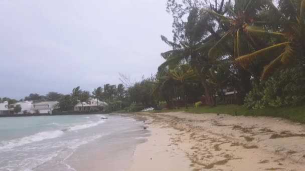 Плеск Волн Песчаном Пляже Окружении Тропических Деревьев Плохую Погоду — стоковое видео