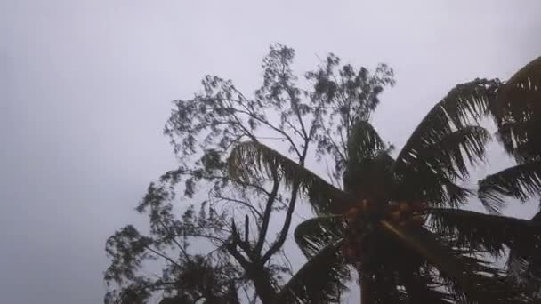 Spetterende Golven Zandstrand Omringd Door Tropische Bomen Winderige Dag — Stockvideo