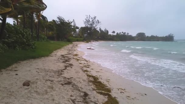 vagues éclaboussantes sur la plage de sable entouré d'arbres tropicaux par mauvais temps 