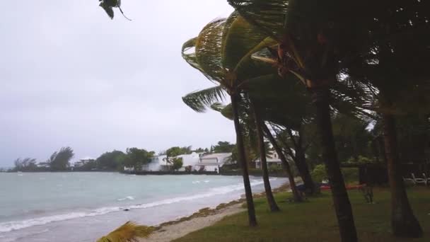 Stänk Vågor Sandstrand Omgiven Tropiska Träd Dåligt Väder — Stockvideo