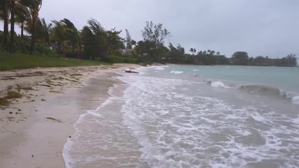 Fröccsenő Hullámok Homokos Strandon Körülvéve Trópusi Fák Rossz Időben — Stock videók