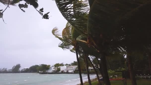 Splashing Waves Sandy Beach Surrounded Tropical Trees Bad Weather — Stock Video