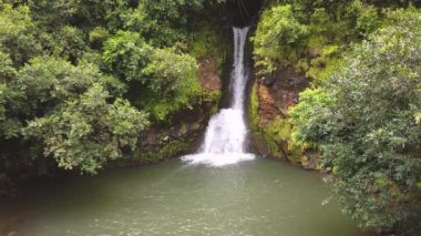 Mauritius Adası 'ndaki göle düşen şelale manzarası