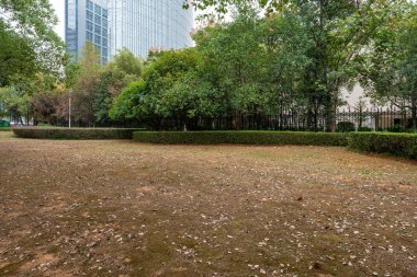 Şangay 'da modern bina geçmişi olan şehir parkı.