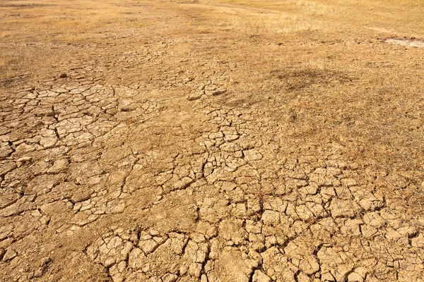 Uzun bir kuraklık döneminden sonra geniş kuru bir arazi.. — Stok fotoğraf