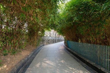 Çin 'deki Şehir Parkı yolu.