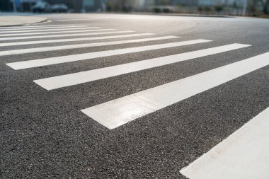 Zebra açık yoldan geçiyor.