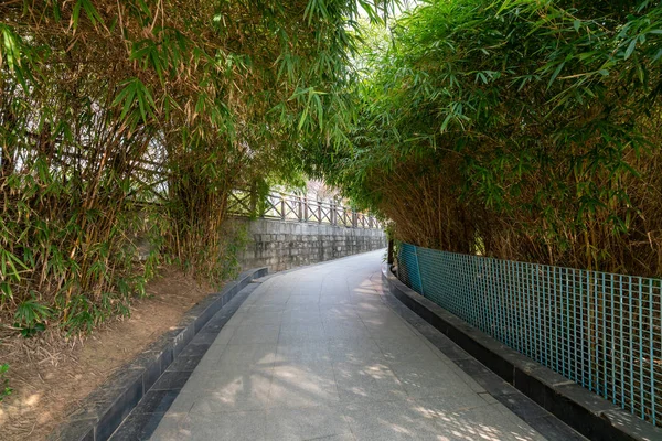 Çin 'deki Şehir Parkı yolu.