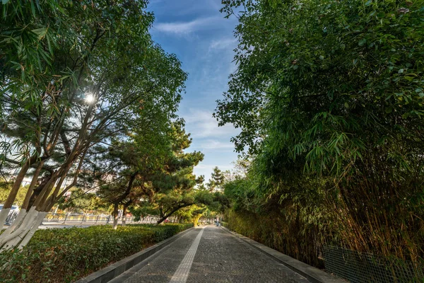 La strada del Parco della Città in Cina — Foto Stock