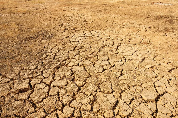 Large dry field of land after a long period of drought. — Stock Photo, Image