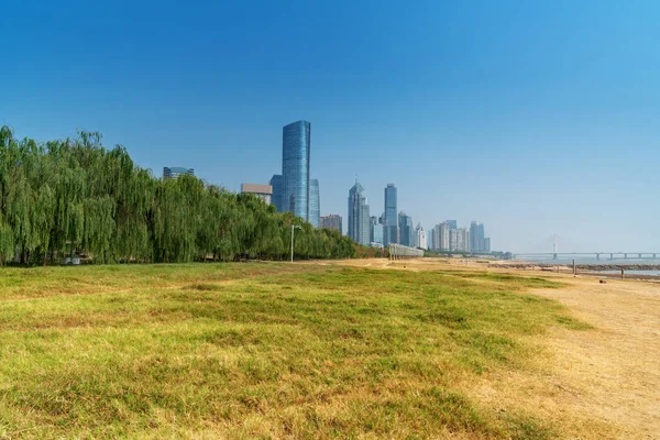 Parco della città con sfondo edificio moderno a shanghai — Foto Stock