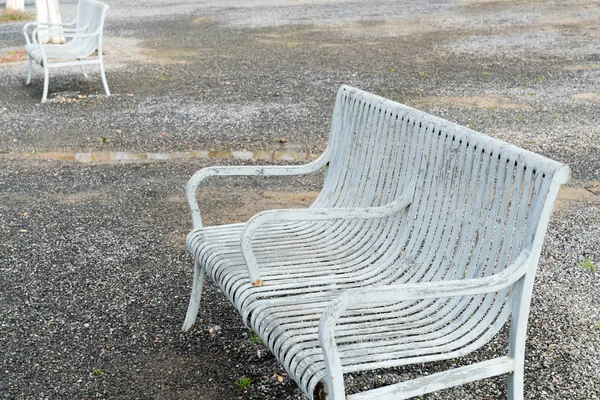Chair in cozy flower garden — 스톡 사진