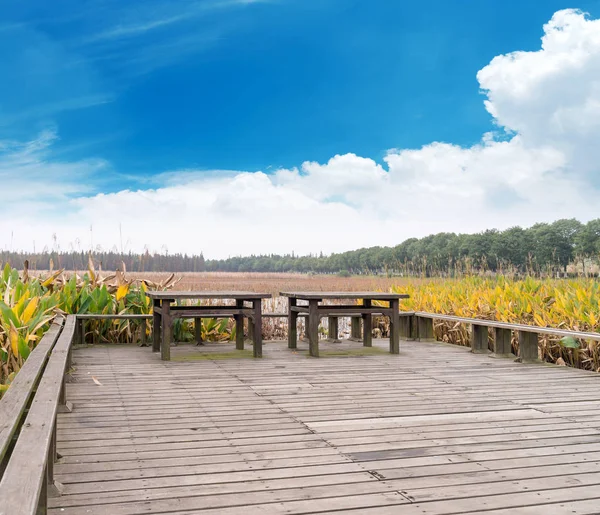 Tavolo da picnic in un ambiente pittoresco lungomare natura — Foto Stock