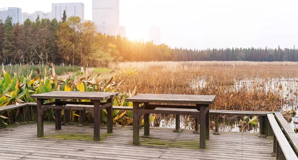 Picknicktafel in een pittoreske natuur aan het water — Stockfoto