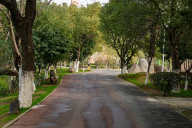 Ormanda yürüyüş yolu. Ormanda yürüyüş yolu
